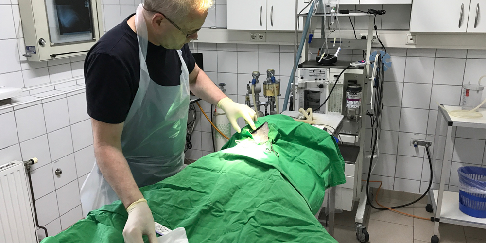 Operation Stammzellentherapie