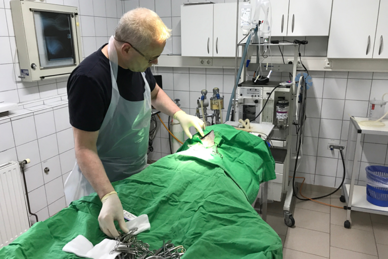 Operation Stammzellentherapie