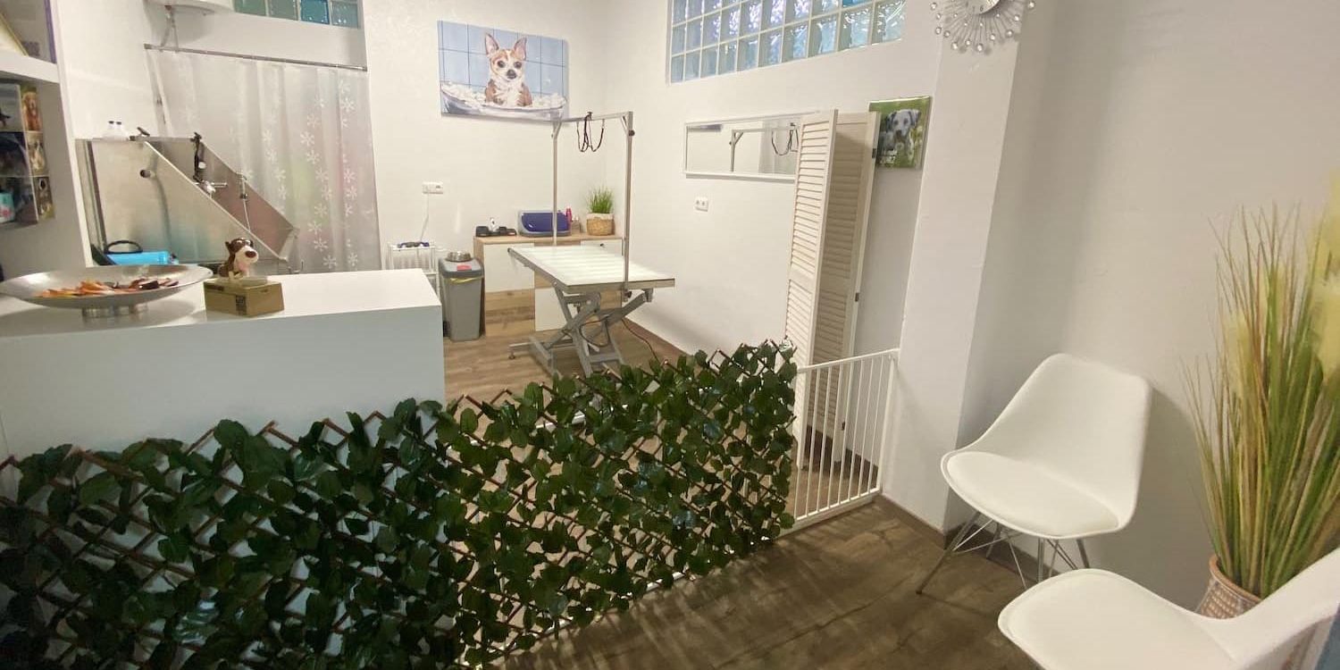 Hundesalon Fellwerk Tierklinik Wels