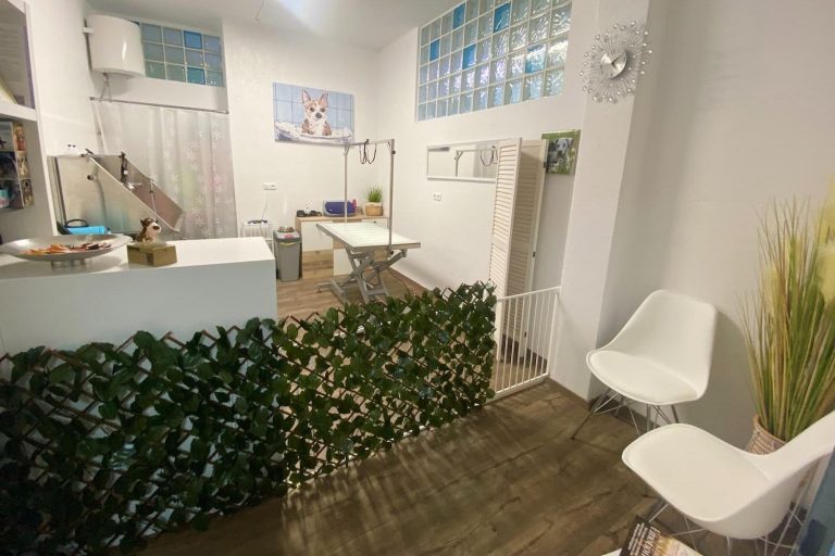 Hundesalon Fellwerk Tierklinik Wels