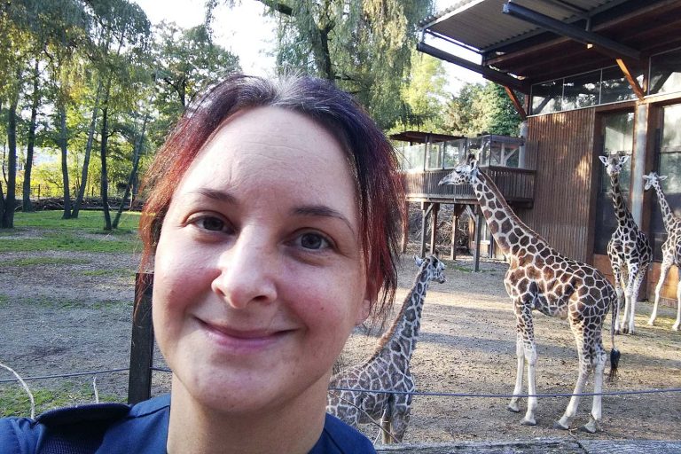 Tiermedizin im Zoo